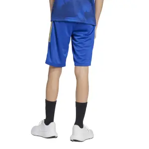 Children's shorts adidas House of Tiro Colors of Football image-2