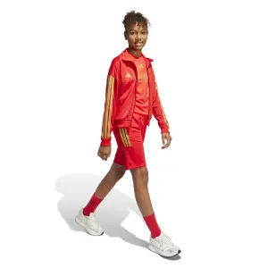 Junior Sweatshirt adidas House of Tiro Colors of Football image-3