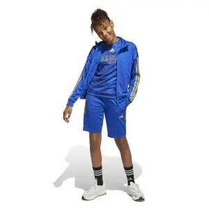 Pullover Kind adidas House of Tiro Colors of Football image-2