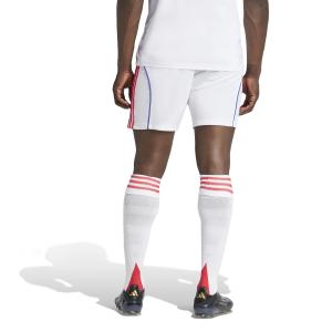 Short domicile OL 2025/26 image-4