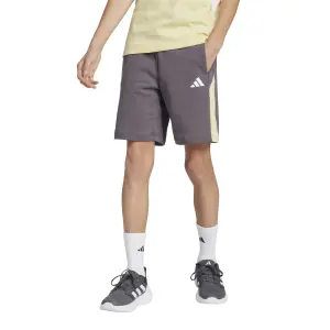 Shorts für Kinder adidas Essentials Colorblock image-1