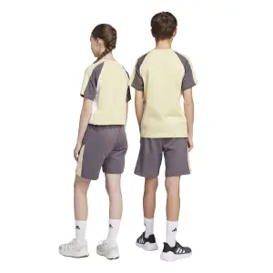 Shorts für Kinder adidas Essentials Colorblock image-6