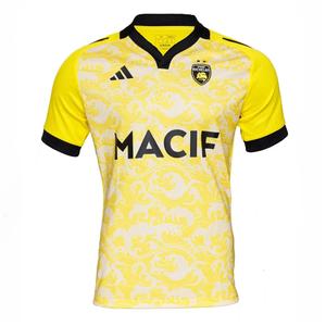 jd6109-uitshirt-stade-rochelais-2024-25-geel