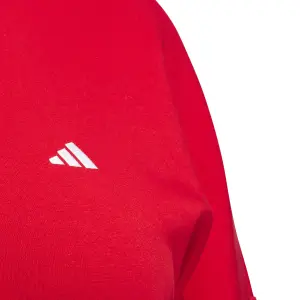 Sudadera inclusiva mujer adidas Essentials Small Logo Feel Cozy image-6