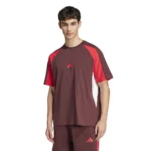 Camiseta adidas Seasonal Essentials Colorblock image-2