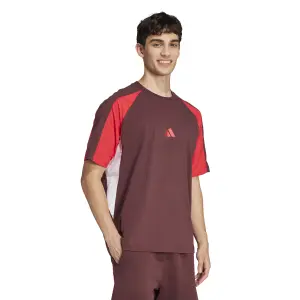 Camiseta adidas Seasonal Essentials Colorblock image-4