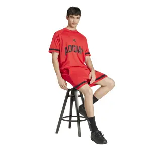 Camiseta adidas Seasonal Essentials US Sport image-3