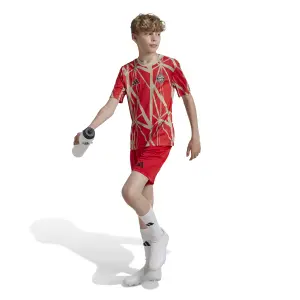 Aufwärmtrikot für Kinder Bayern München 2024/25 image-2