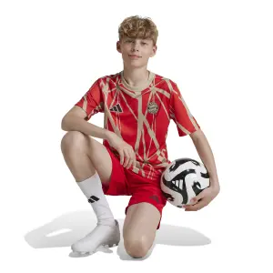 Aufwärmtrikot für Kinder Bayern München 2024/25 image-6