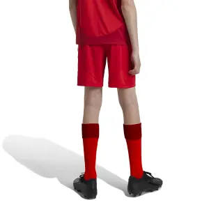 Short Domicile enfant Bayern Munich 2024/25 image-3