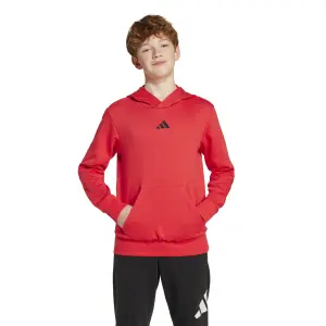 Child hoodie adidas Essentials image-1