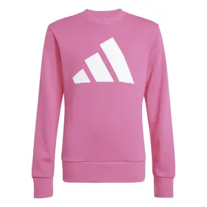 Sudadera infantil adidas Essentials BL FT image-0