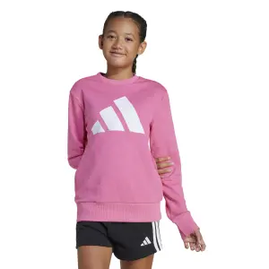 Sudadera infantil adidas Essentials BL FT image-1