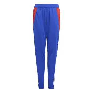 Pantaloni da allenamento per bambini adidas Tiro 24 Competition image-0