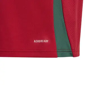 Maglia Home per bambini Hongrie Euro 2024 image-4