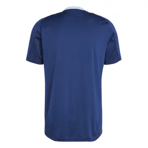 Camiseta de entrenamiento Real Madrid 2024/25 image-3