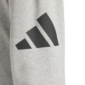 Jogging Trousers adidas Essentials Big Logo image-4