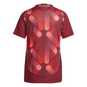 Autentyczny, zewnętrzny koszulka damska Niemiec Women's Euro 2025 image-1