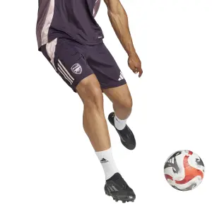 Shorts Arsenal Tiro 2024/25 image-3