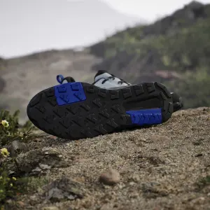 Hiking shoes adidas Terrex Anylander R.Rdy image-4