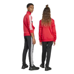 Veste de survêtement enfant adidas Essentials Tiberio 3-Stripes image-6