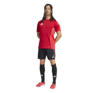 Training shorts adidas Tiro25 image-3