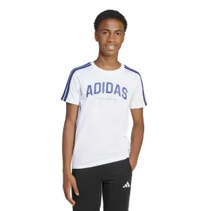 T-Shirt adidas Codes Collegiate Graphic image-1