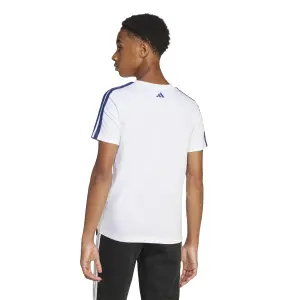 T-Shirt adidas Codes Collegiate Graphic image-4
