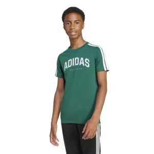 T-Shirt adidas Codes Collegiate Graphic image-1
