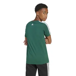 T-Shirt adidas Codes Collegiate Graphic image-3