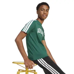 T-Shirt adidas Codes Collegiate Graphic image-6