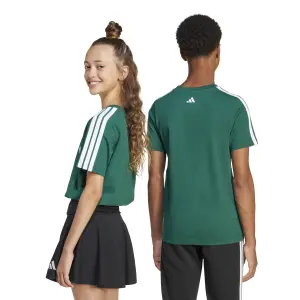 T-Shirt adidas Codes Collegiate Graphic image-4