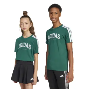 T-Shirt adidas Codes Collegiate Graphic image-2