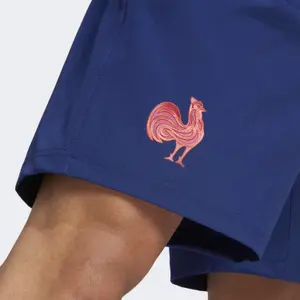 Krótkie repliki na zewnątrz XV de France 2024/25 image-5