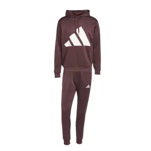 Hooded sweatshirt adidas Big Logo Hooded Tracksuits image-1