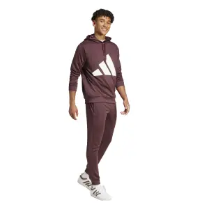 Hooded sweatshirt adidas Big Logo Hooded Tracksuits image-4