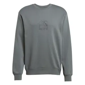 Sweatshirt mit Rundhalsausschnitt adidas Terrex Graphic image-0