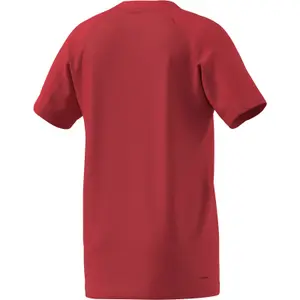 Children's jersey adidas B Club image-1