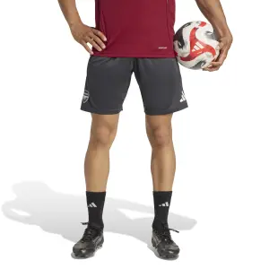 Arsenal training shorts EU 2025/26 image-1