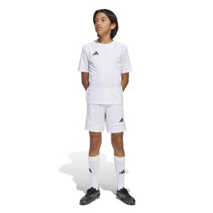 product/a/d/adidas_jj2423_5_apparel_on_model_walking_view_white.jpg