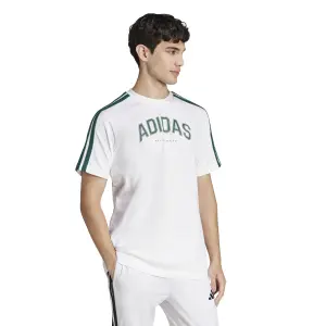 T-Shirt adidas Codes Collegiate Linear Graphic image-1