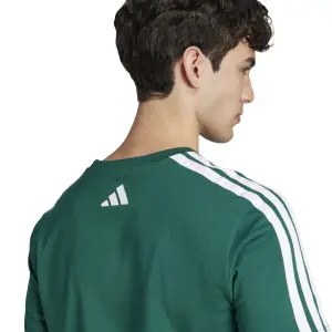 Camiseta adidas Codes Collegiate Linear Graphic image-5