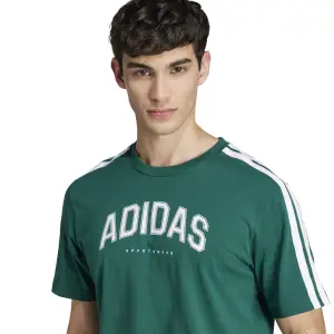 Camiseta adidas Codes Collegiate Linear Graphic image-4