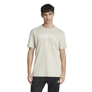 Camiseta adidas Codes Collegiate Linear Graphic image-1