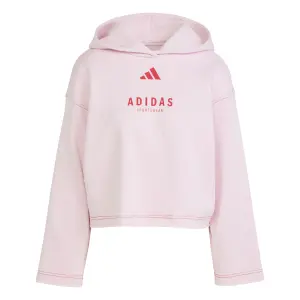 Sweatshirt à capuche ample femme adidas All Szn Graphic image-0