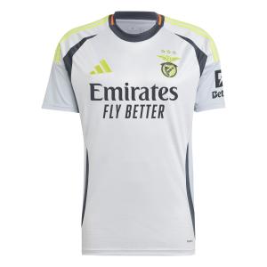 jj5114-third-jersey-benfica-lisbonne-2024-25-gray-null