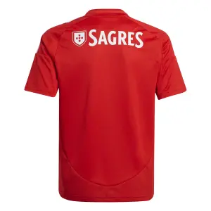 Ensemble enfant Benfica Lisbonne 2024/25 image-6