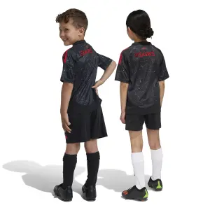 Conjunto de camiseta y pantalón corto de exterior para niño Benfica Lisbonne 2024/25 image-6