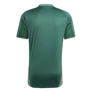 Maillot d'entrainement Algérie 2024/25 image-2