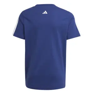 T-Shirt adidas Codes Collegiate Graphic image-1